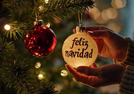 Feliz Navidad Centro Comercial Aquarium